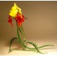 Glass Red and Yellow Flower Iris