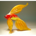 Orange Exotic Glass Fish with Colorful Body