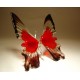 Glass Butterfly Ornament Red and Black