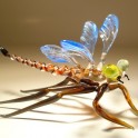 Glass Insects